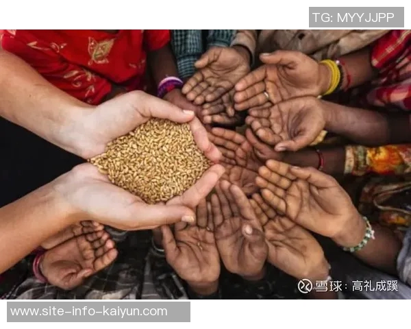 篮网队薪资危机加剧蒂米无保障合同怀特黑德仅330万保障球员面临困境