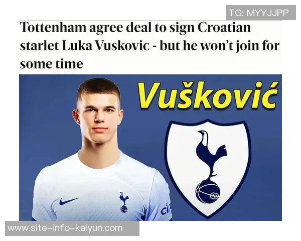 英媒称热刺小将武什科维奇外租汉堡表现优异助球队提升